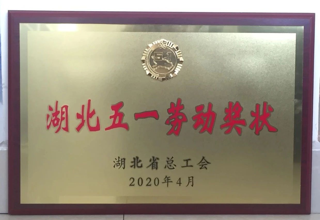 喜讯||乐动网官网_乐动(中国)重工又获省级殊荣